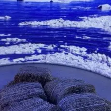 Выставка Большая страна и два мастер класса