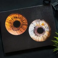 Фото радужки на холсте