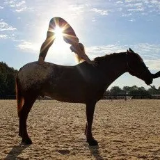 Конный фитнесс