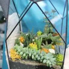 Мастер-класс Геометрическая оранжерея: Мини Чаша/Бриллиант/Венера