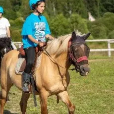 Обучение верховой езде