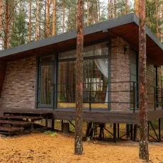 Вино и Сосны