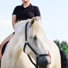 Мастер класс Подготовка лошади