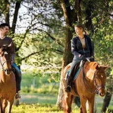 Конная прогулка Троицкое