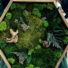 Мастер-класс по изготовлению Панно со мхом