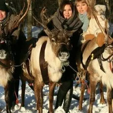 Программа с прогулкой в оленьей упряжке
