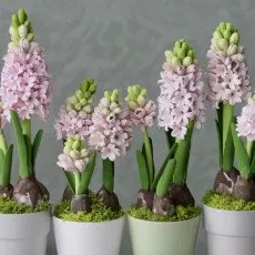 Мастер-класс по лепке из японской зефирной глины Гиацинт