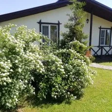 Шале (Руза, Московская область)