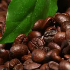 МК Все о кофе!