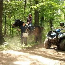 Прокат квадроцикла с конной прогулкой