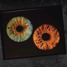 Фото радужки картина на холсте