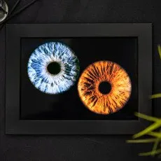 Парное фото радужки глаза