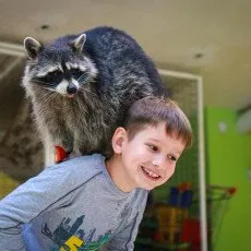 Планета енотов