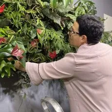 Мастер класс Фитодизайн помещений