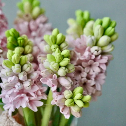 Цветы гиацинта в вазе на столе, свежие и ароматные, украшение для дома в начале весны