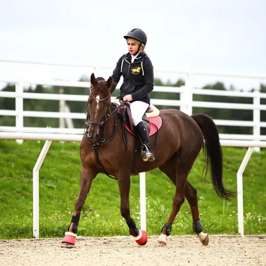 Девушка катается на лошади на манеже в загородном конном клубе во время тренировочного занятия