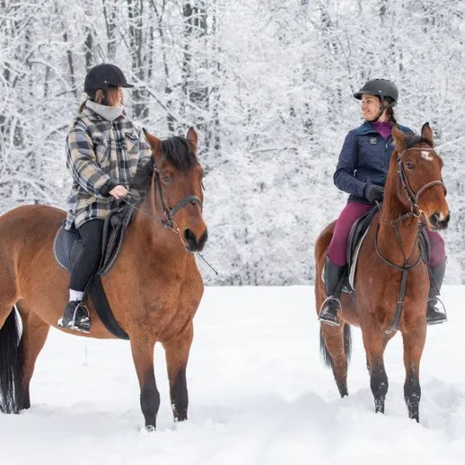 Верховая езда на лошадях в снежном лесу с друзьями в зимний день