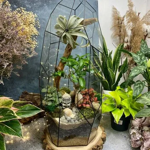 Современный террариум с растениями и декором, расположенный в уютном интерьере