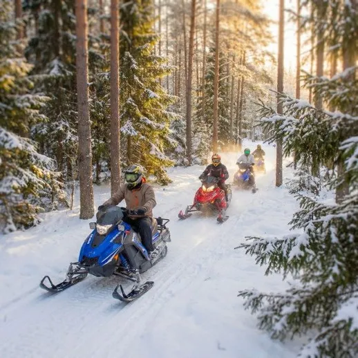 Снежные трассы: группа людей на снегоходах катится по зимнему лесу в лучах солнца