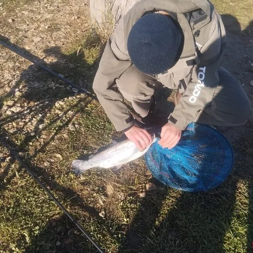 Рыбак на берегу водоема занимается добычей рыбы и подготовкой улова на утренней рыбалке