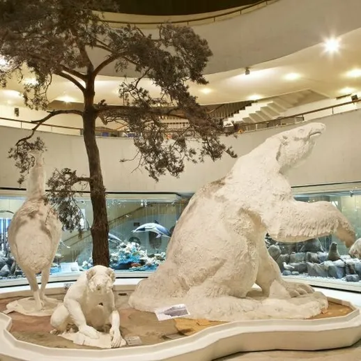 Модель животных Арктики в экологическом центре, расположенном в северном регионе России