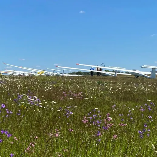 Пара планеров на травяном поле в ясный солнечный день, готовые к полету на соревнованиях по планеризму