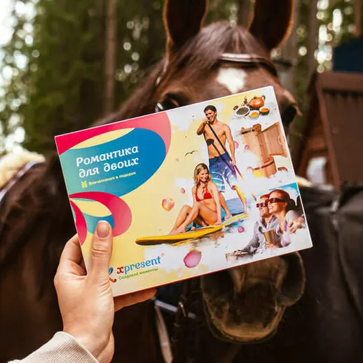 Романтическое приключение для двоих на лошади в лесу среди природы в солнечный день Романтическое приключение для двоих на лошади в лесу среди природы в солнечный день