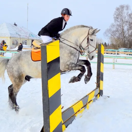 Конный спорт в зимних условиях на соревнованиях по конкуру в снежном парке