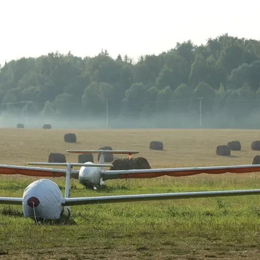 Солнце восходит над пастбищем, где планеры стоят на траве среди сена и зелени, создавая спокойную атмосферу утреннего летнего дня