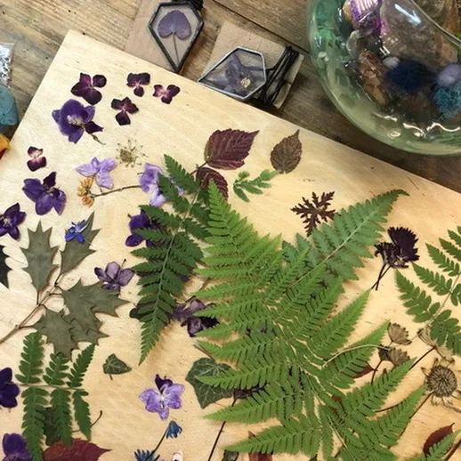 Сушеные цветы и листья на деревянной доске для творчества в уютной мастерской