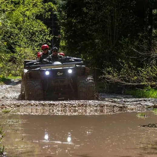 Увлекательная поездка на квадроцикле по лесной грязевой дороге в солнечный день