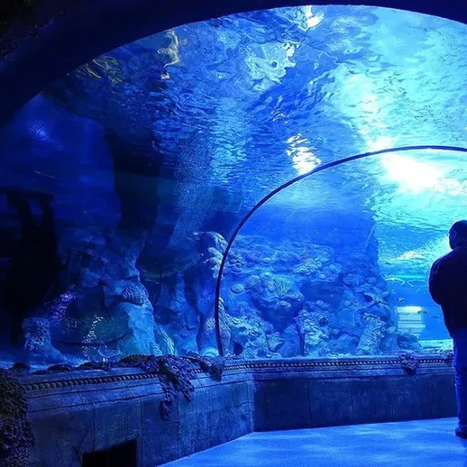 Посещение аквариума с семьей в вечернее время, полное ярких морских обитателей и красивых водных пейзажей