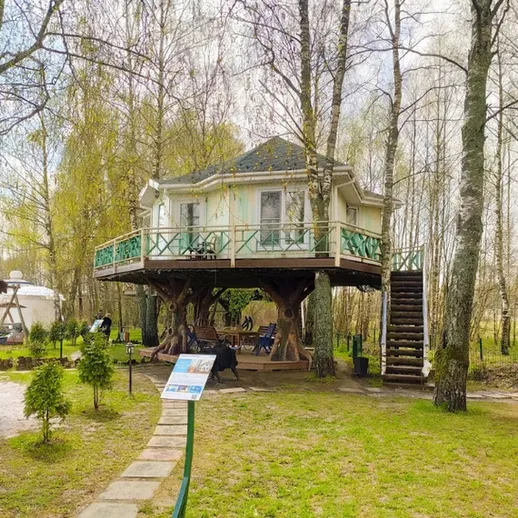 Деревянный дом на дереве в живописном лесу с террасой и лестницей в уютном уголке природы