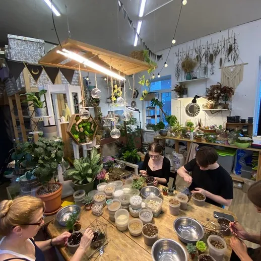 Участники мастер-класса по садоводству создают террариумы в уютной студии