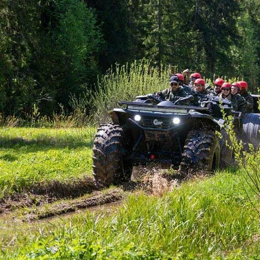 Команда на квадроциклах преодолевает лесную тропу в солнечный день