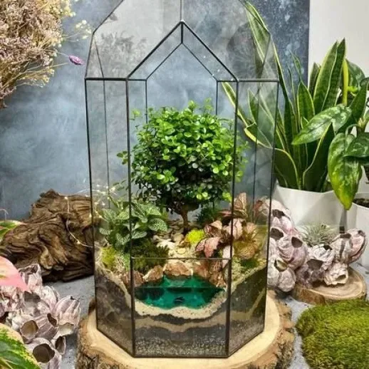 Сад в террариуме находится в комнате с растениями и природными материалами