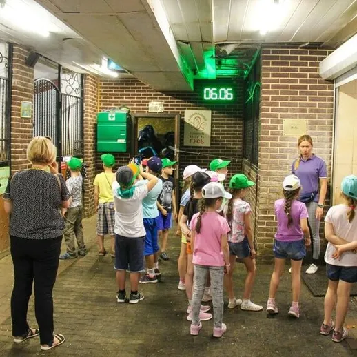 Дети собираются в учебной аудитории на летнем лагере в деревне во время вечернего мероприятия