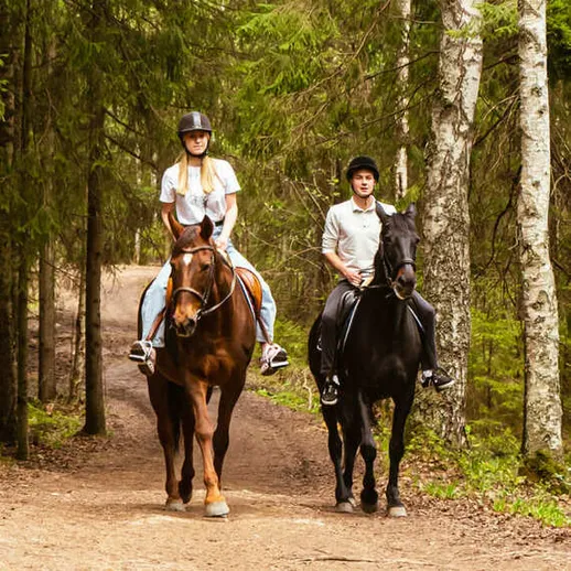 Прогулка верхом на лошадях по лесной тропе в солнечный день с друзьями Прогулка верхом на лошадях по лесной тропе в солнечный день с друзьями