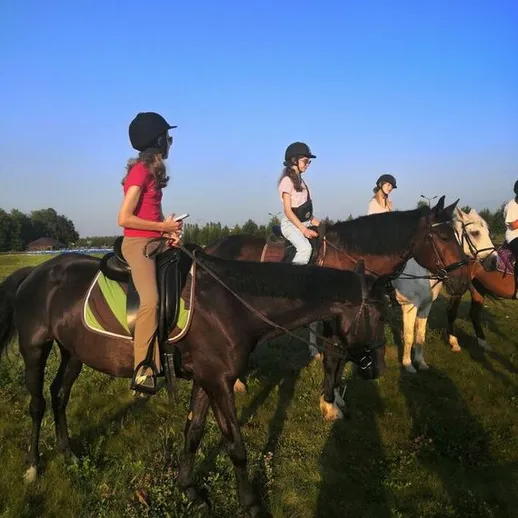 На занятиях верховой ездой в солнечный день на зеленом поле в России