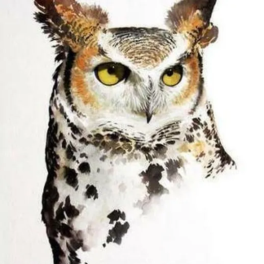 Сова с оранжевыми глазами на белом фоне, выполненная в технике акварели