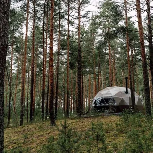Уютный геодезический домик среди сосен в лесу, облачный день, тихая атмосфера природы