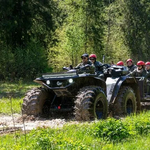 Военный транспорт передвигается по лесной дороге в солнечный день, в окружении зелёных деревьев и травы