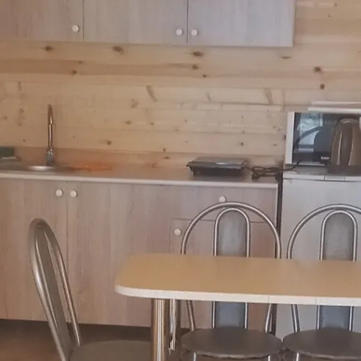 Современная кухня в деревянном доме с обеденным столом и бытовой техникой