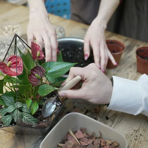 Участники мастер-класса по садоводству заботятся о растениях в уютной мастерской в осенний день