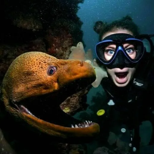 Снорклинг с морской змеей в коралловом рифе у побережья тропического острова