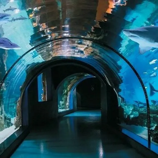 Подводный туннель аквариума с плавающими рыбами и акулами, светлая атмосфера и захватывающие виды