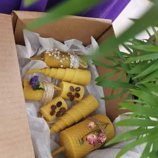 Ручные свечи из воска в коробке находятся на столе среди зелёных растений