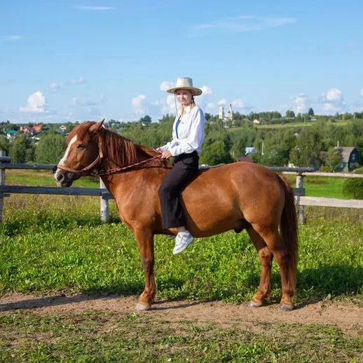 Женщина на рыжем коне в живописном загородном пейзаже на летнем воздухе