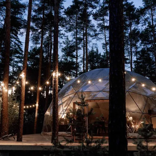 Уютный геодезический купол среди сосен в лесу во время вечернего освещения