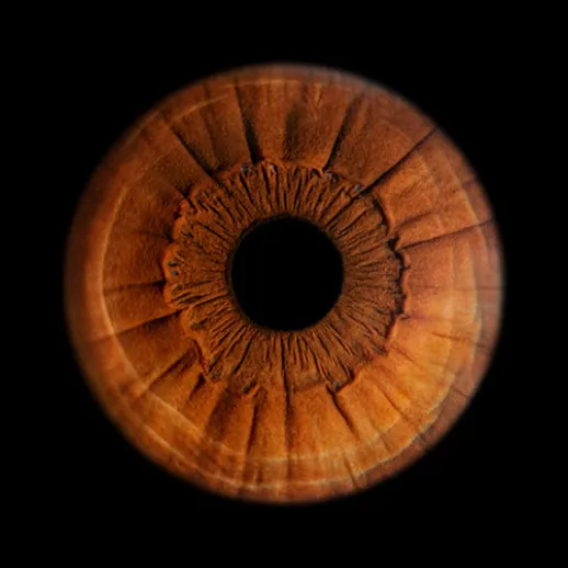 Деревянный круг с текстурой, вид с близкого расстояния, освещенный светом